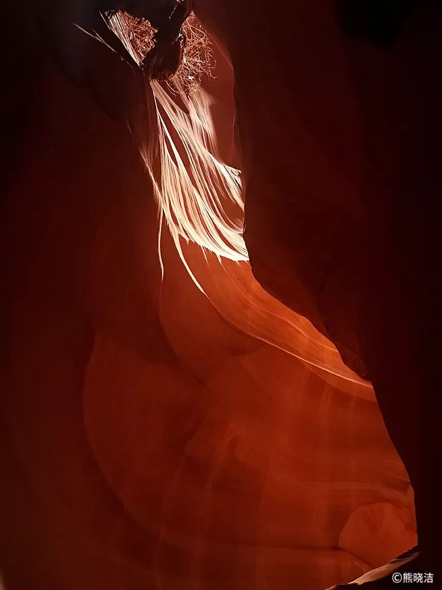 《羚羊谷系列——顽强的生命》ANTELOPE CANYON SERIES——TENACIOUS LIFE